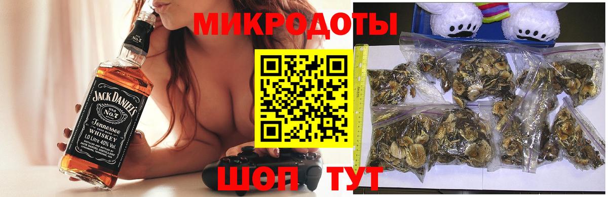 Псилоцибиновые грибы Psilocybe  Псилоцибиновые грибы мухоморы  Хабаровск  Вход с VPN 