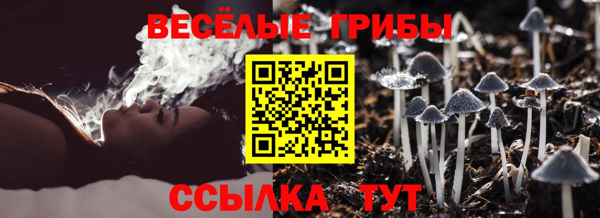 Галлюциногенные грибы мухоморы Хабаровск